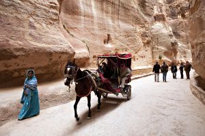Petra Transport
